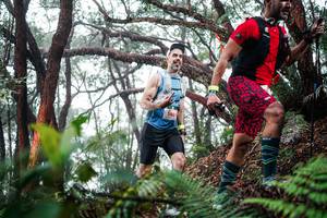 BIB: 
                            <button type="button" onclick="openModal(26296646)" class="btn btn-primary btn-sm float-right btn-popup" data-toggle="modal" data-target=".modal-high-quality">
                        <i class="fas fa-shopping-cart"></i> Add to Cart
                    </button>
                                            <button type="button" onclick="isThisMe(26296646, true)" class="btn btn-success btn-sm float-right btn-popup btn-isme hidden" data-toggle="tooltip" data-placement="bottom" title="นี่คือรูปของคุณใช่ไหม คลิกที่นี่เพื่อเอาเข้าอัลบั้ม">
                        <i class="fas fa-plus"></i> Add to album
                    </button>
                    <button type="button" onclick="isThisMe(26296646, false)" class="btn btn-warning btn-sm float-right btn-popup btn-isnotme hidden">
                        <i class="fas fa-ban"></i> Remove from album
                    </button>